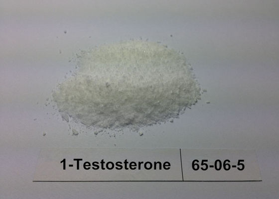 Natural 1 - Testosterone Steroid Powder For Bodybuilding