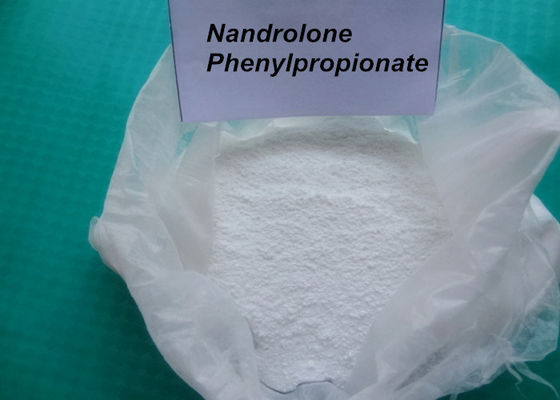 62-90-8 Nandrolone Phenylpropionate / Deca Durabolin Injection For Bodybuilding